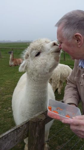 Who's a lovely boy, then IMG-20190419-WA0000