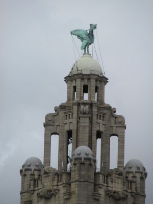 The Liver Bird